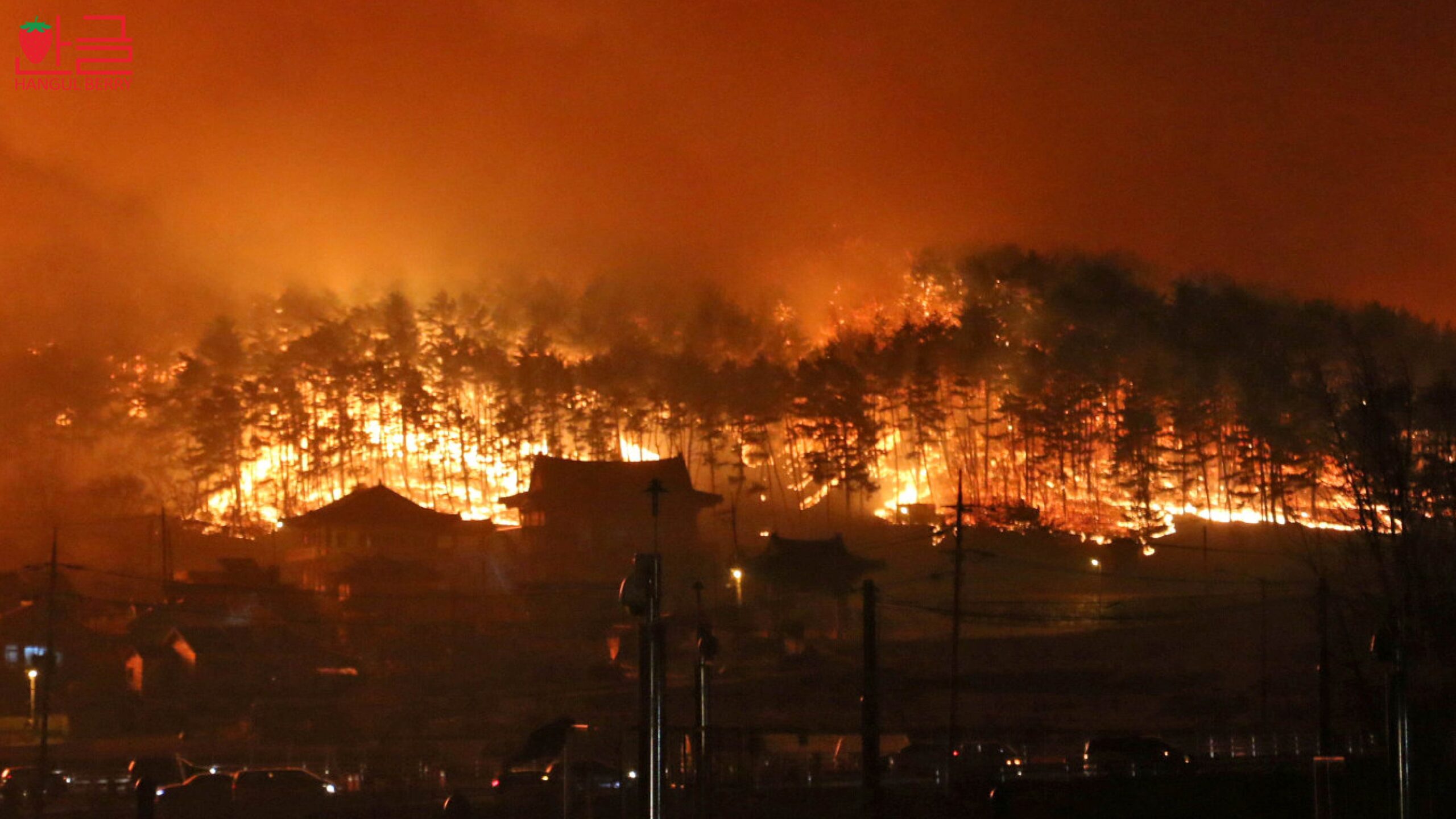 korea march 2025 fire